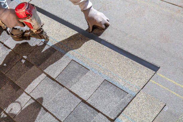 Best Roof Maintenance and Cleaning  in Rio Vista, TX